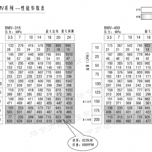 BMV马达