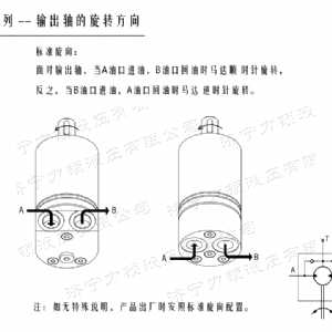 开元体育(中国)官方网站后油口系列马达