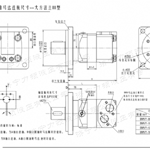 BMV大方系列马达