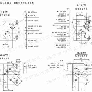 BMV大方系列马达