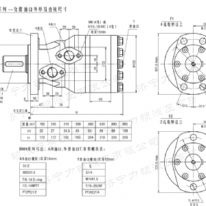 BMH系列交错油口开元体育(中国)官方网站马达