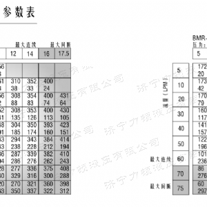 BM2(JS)系列马达